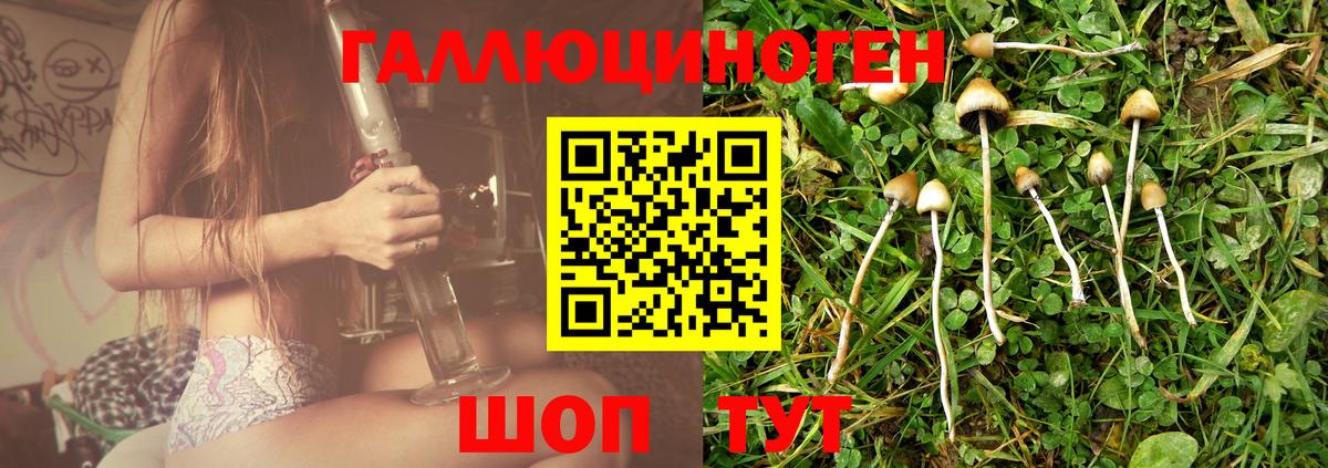 Галлюциногенные грибы Psilocybine cubensis  как найти   Чусовой  Вход с VPN 